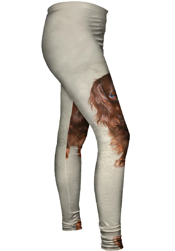 Exquisite Fabrics Bad Mood Chocolate Dachshund