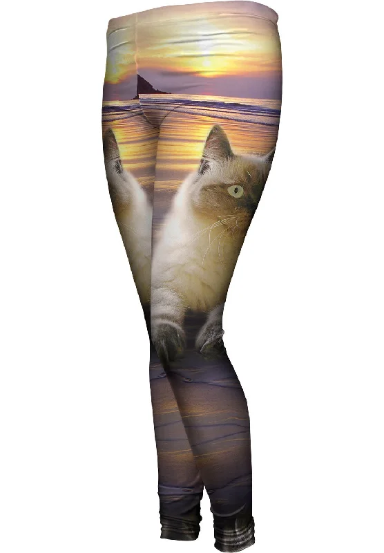 End Of The Year Beach Beauty Kitty Cat