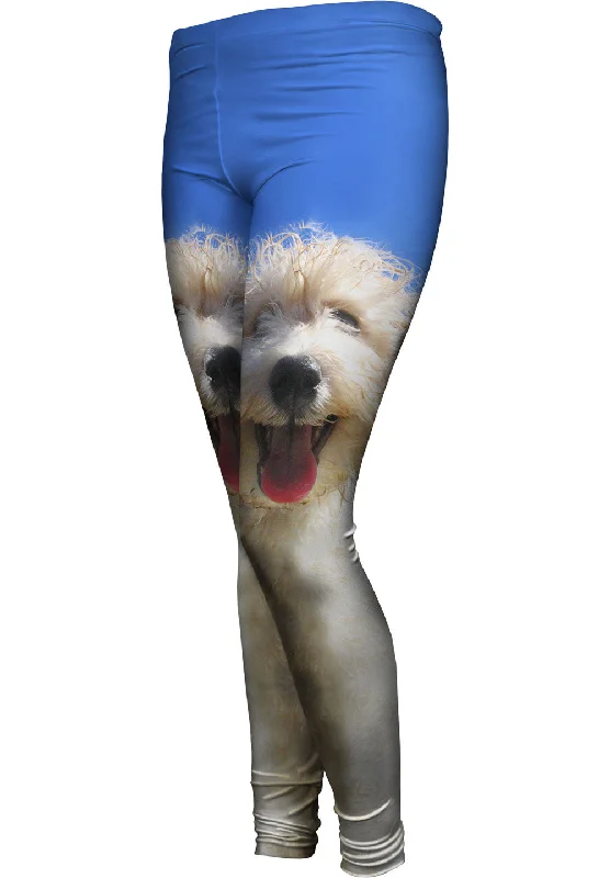 Fashionable And Versatile Blue Sky Poodle