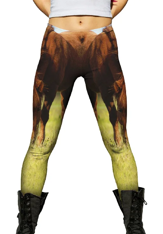 High-end Customization Brown Horse Grazing
