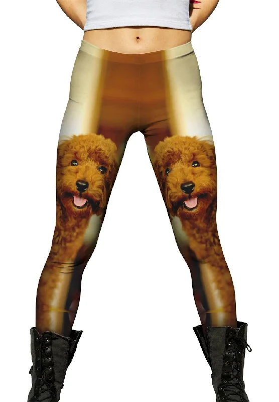 Light Fit Brown Poodle Loves Life