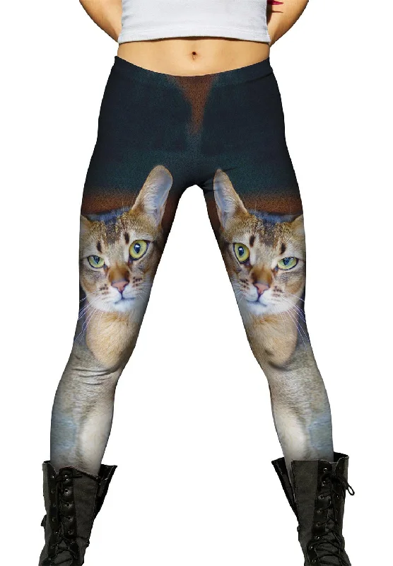 Basic Version Confused Cat