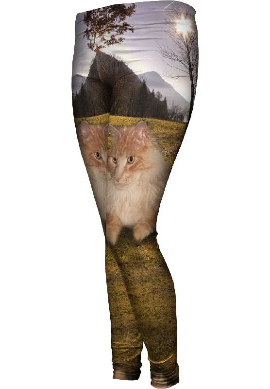 Trendy Looks Cool Hill Cat