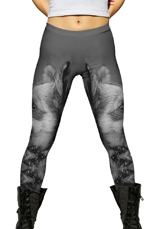 Versatile Wear Doggy Surprise