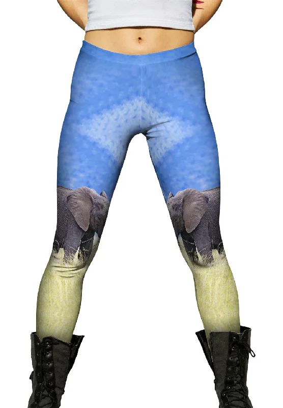 High-end Fashion Elephant In Tall Grass
