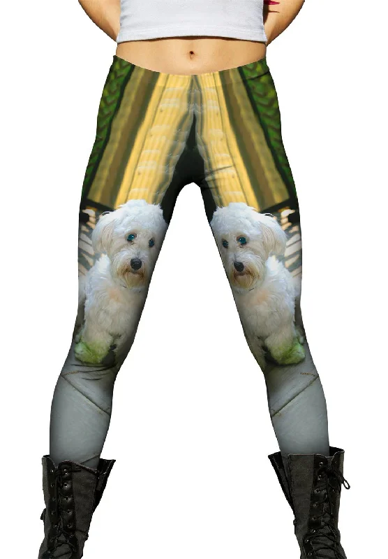 Soft Style Green Feet Poodle
