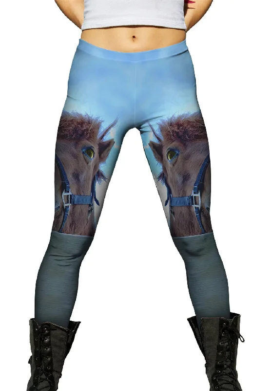 Personalized Outfit Horse Fence Peeker