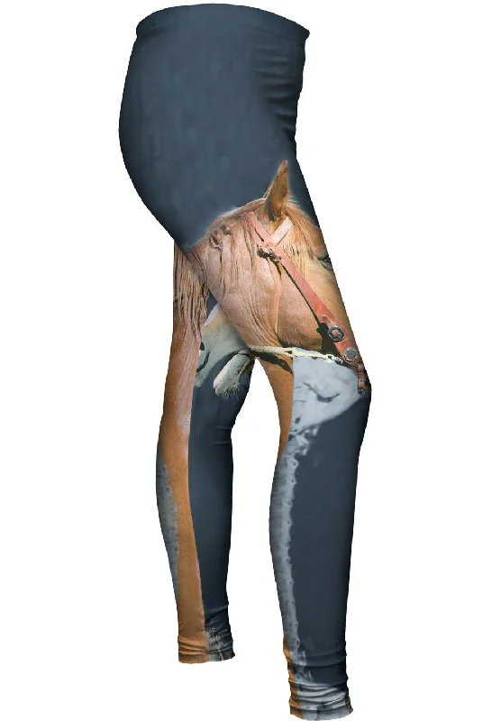 Multifunctional Style Paso Fino Profile