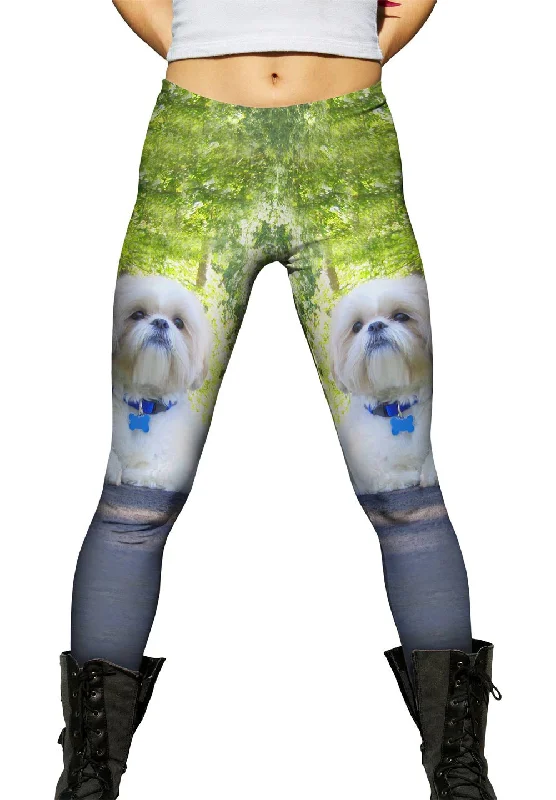 Comfortable And Simple Poodle On Highway