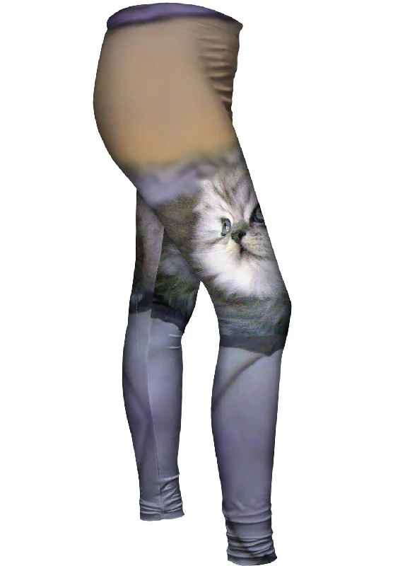 Fashion Elements Posing Cat