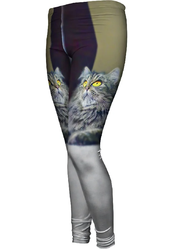 Casual And Versatile Relaxing Kitty Cat