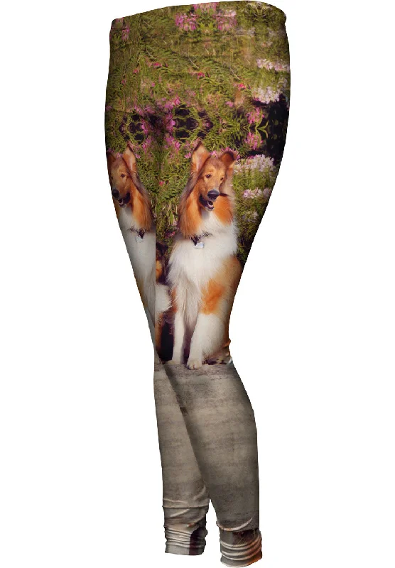 Comfortable Series Sheltie Wall Flower