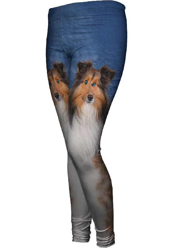 Effortless Style Sheltie With Green Eyes