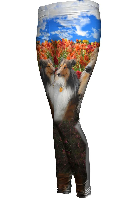 Avant-garde Design Shelties Among Tulips