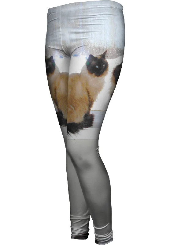 Cozy Chic Trends Siamese Cats Networking