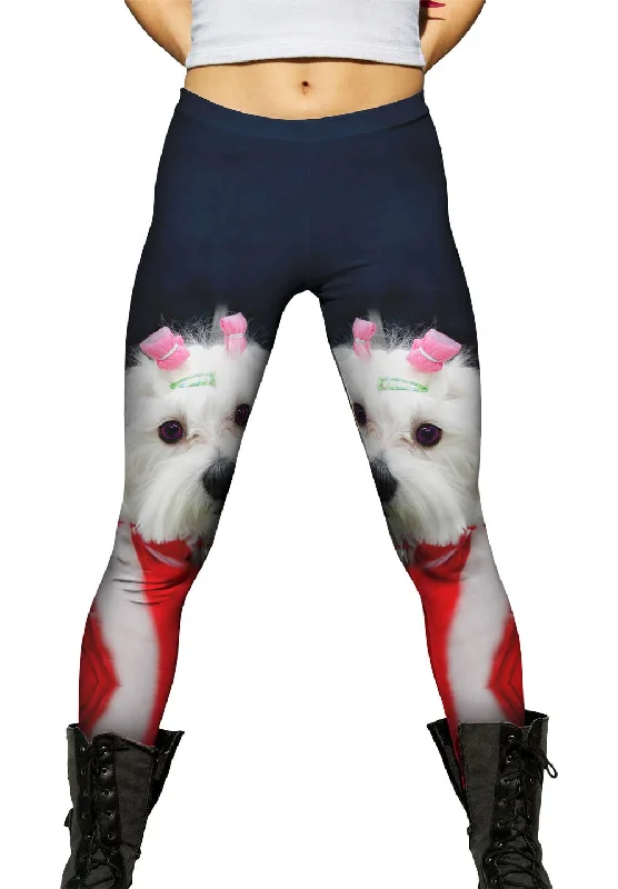 Breezy Style Stylish Maltese
