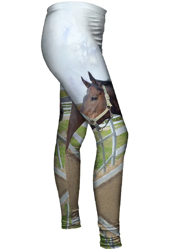 Comfy Dress Thoughtful Stable Horse