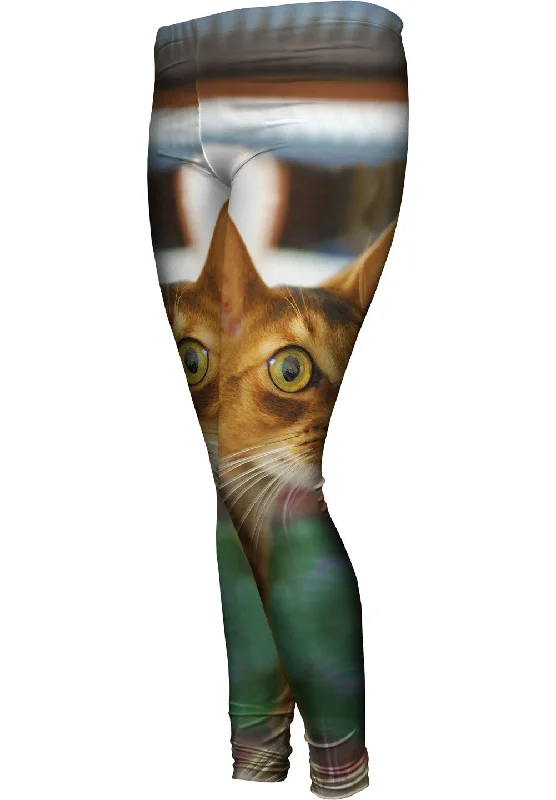 Fashion Wear What Happened Cat