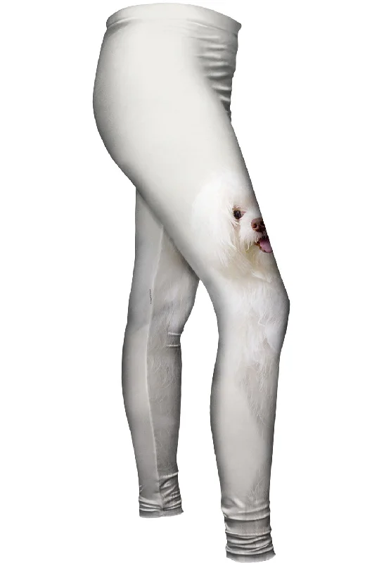 Simple Style White Wash Maltese