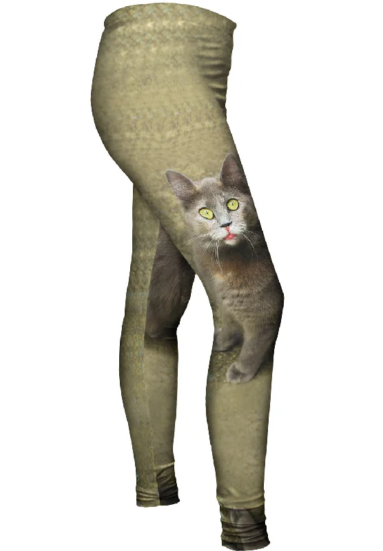 College Style Wow Brown Cat